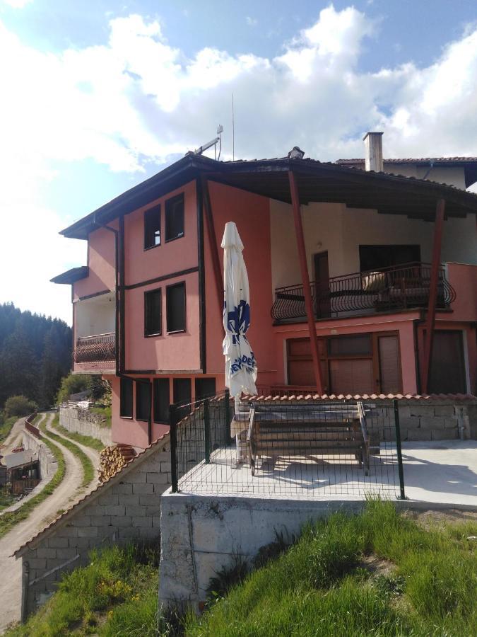 Вила Родопи دوسبات المظهر الخارجي الصورة